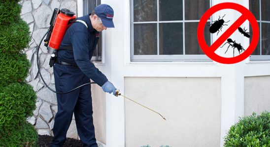 Karacasu Bit İlaçlama böcek ilaçlama ve haşere kontrolü — ilaclama-tr.com